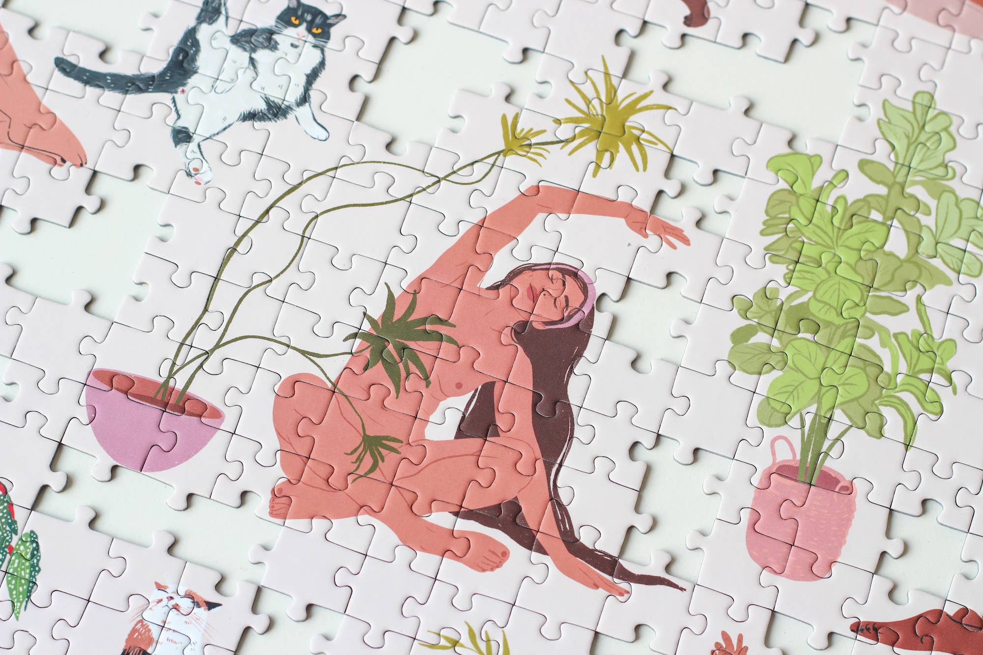 Puzzle "Plant Yoga" 1000 pezzi